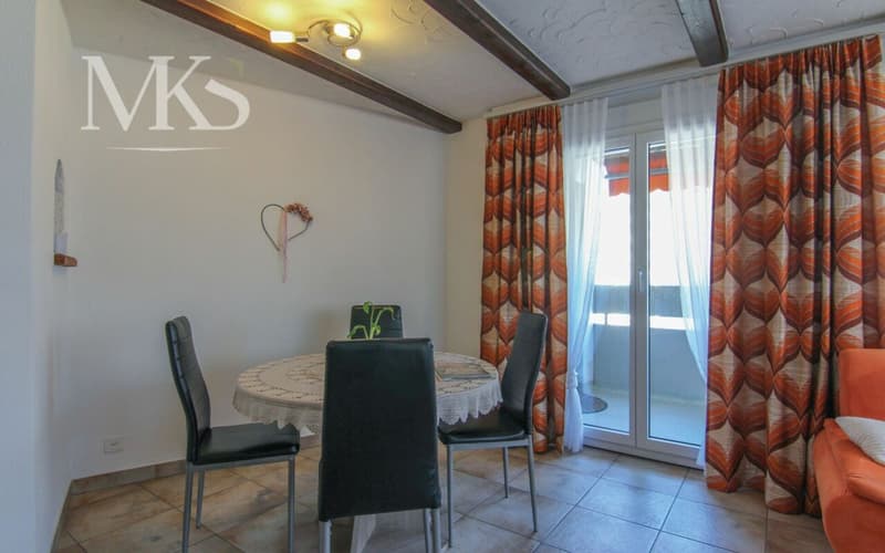 Living with a wide view in the heart of Visp (4)