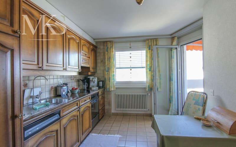Living with a wide view in the heart of Visp (5)