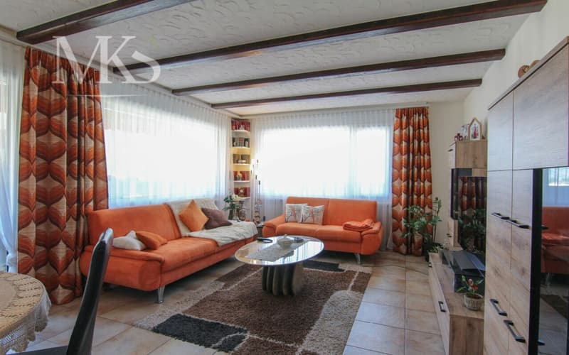 Living with a wide view in the heart of Visp (3)