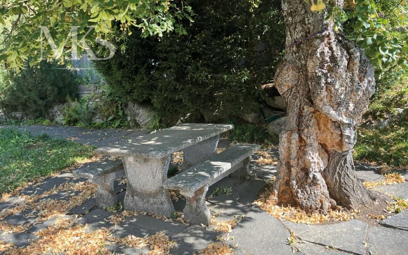 Sitzplatz "unter Linden"