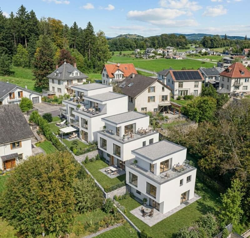 Projet de construction neuve Schönbühl (EFH C) (1)