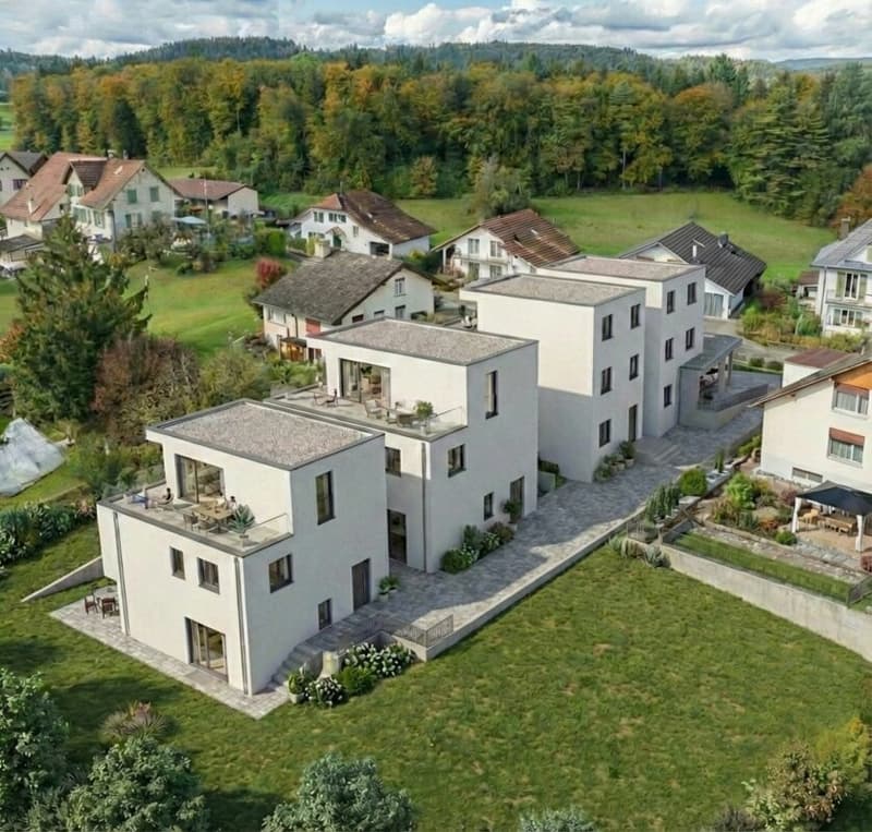 Projet de construction neuve Schönbühl (EFH C) (3)