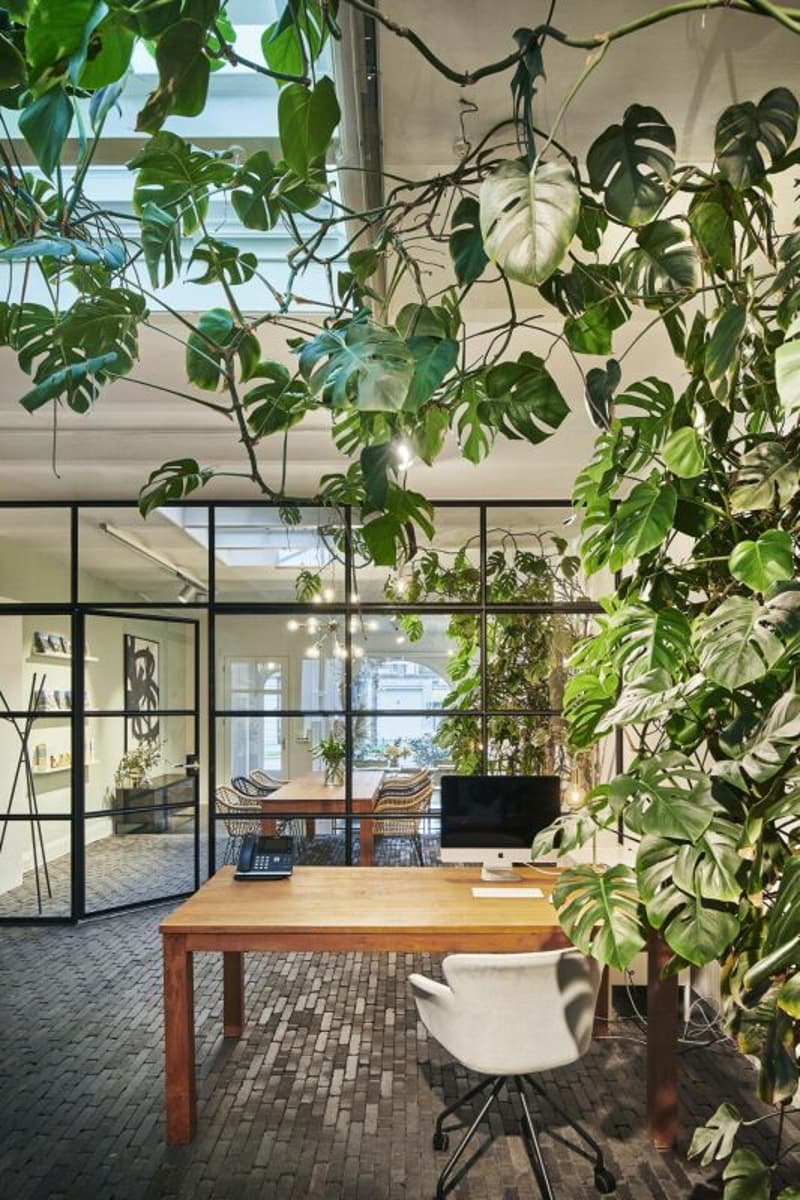 Arbeitsplätze im grünen Designbüro (1)