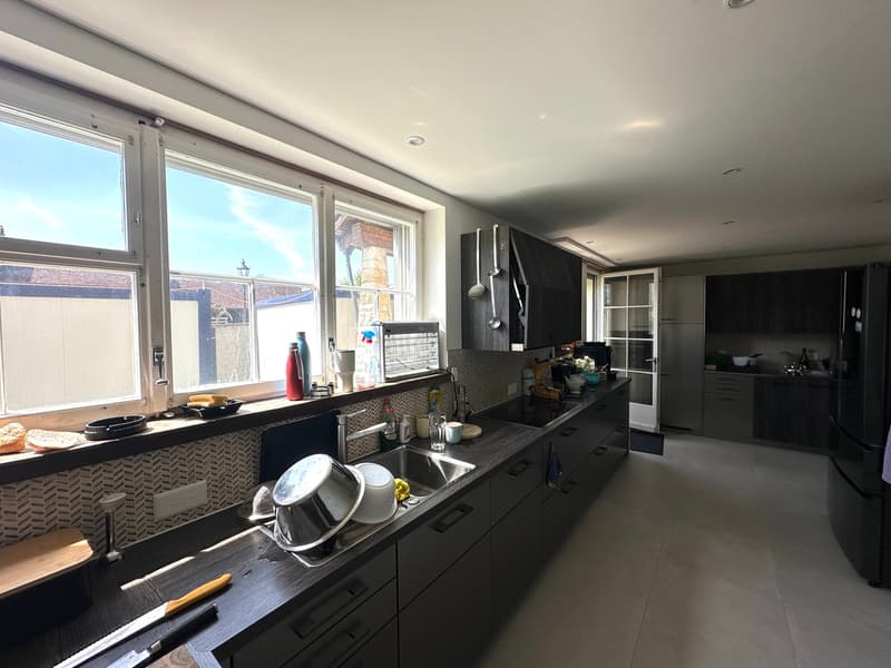 Villa bellissima con piscina su oltre 4'000m2 di terra (12)
