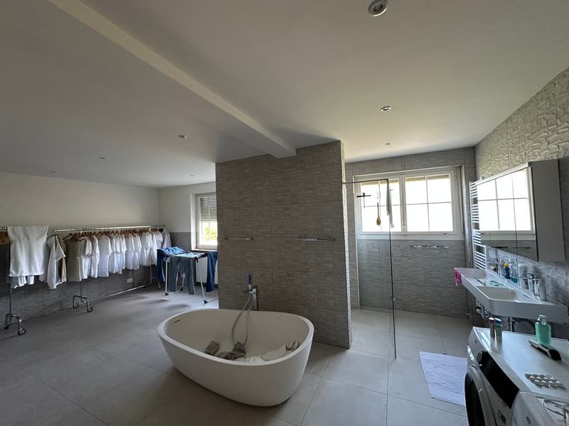 Villa bellissima con piscina su oltre 4'000m2 di terra (13)