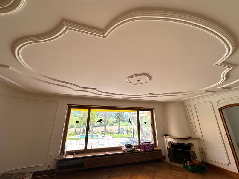 Villa bellissima con piscina su oltre 4'000m2 di terra (10)