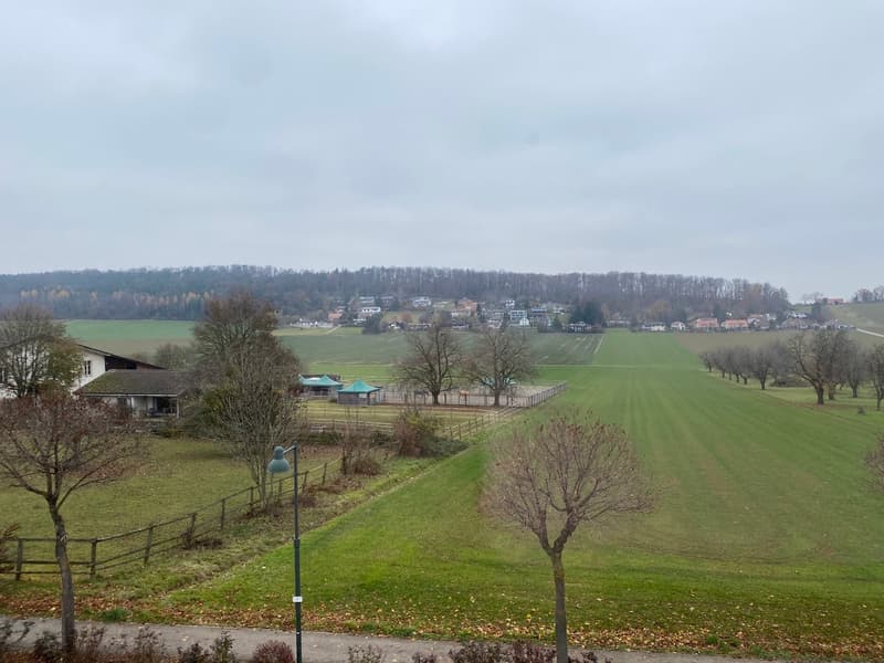 Appartamento di 4 locali con vista sul maneggio e la natura (2)