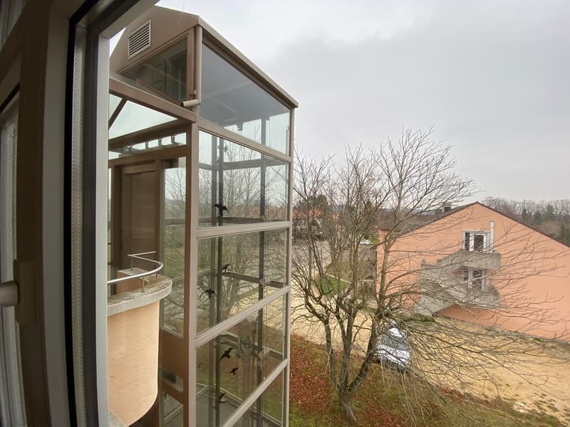 Appartamento di 4 locali con vista sul maneggio e la natura (12)