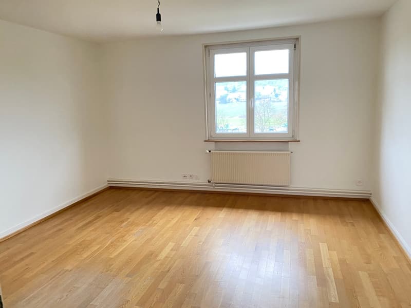 Appartamento di 4 locali con vista sul maneggio e la natura (6)