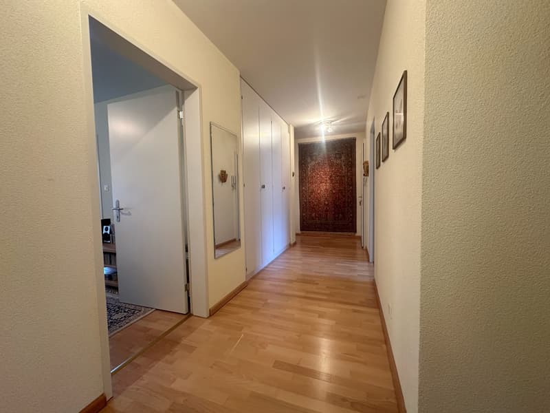 Appartement charmant dans un quartier calme avec vue sur la verdure à Riehen (9)