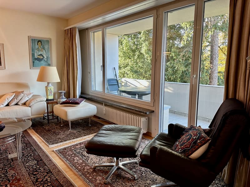 Appartement charmant dans un quartier calme avec vue sur la verdure à Riehen (1)