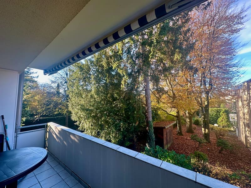 Appartement charmant dans un quartier calme avec vue sur la verdure à Riehen (3)