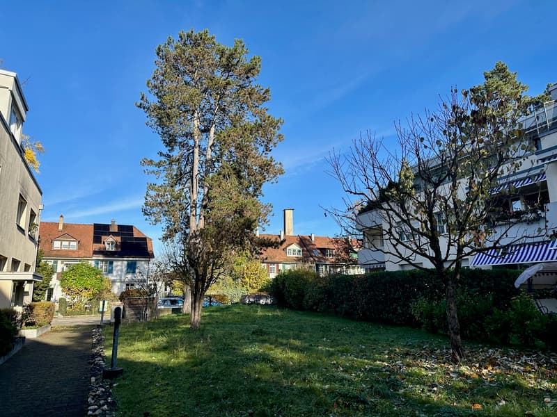 Tolle Wohnung an ruhiger Lage mit Aussicht ins Grüne in Riehen (4)