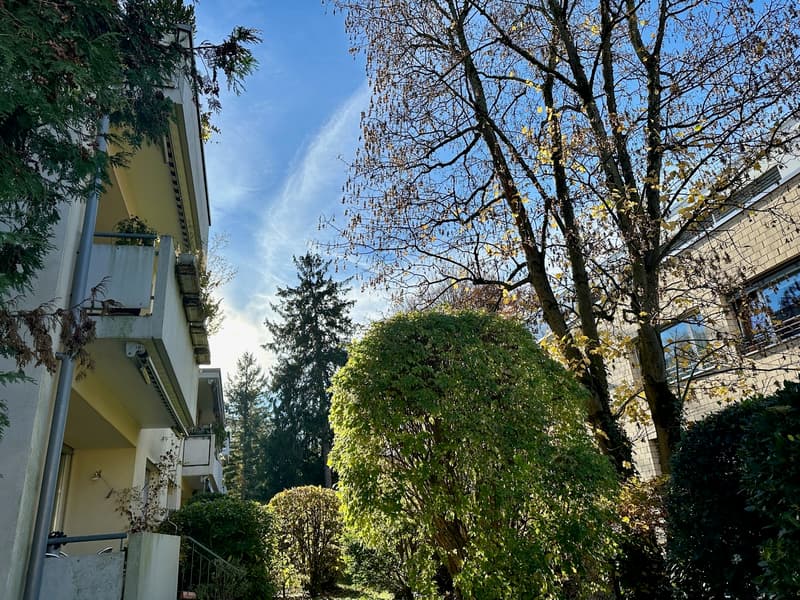 Tolle Wohnung an ruhiger Lage mit Aussicht ins Grüne in Riehen (13)