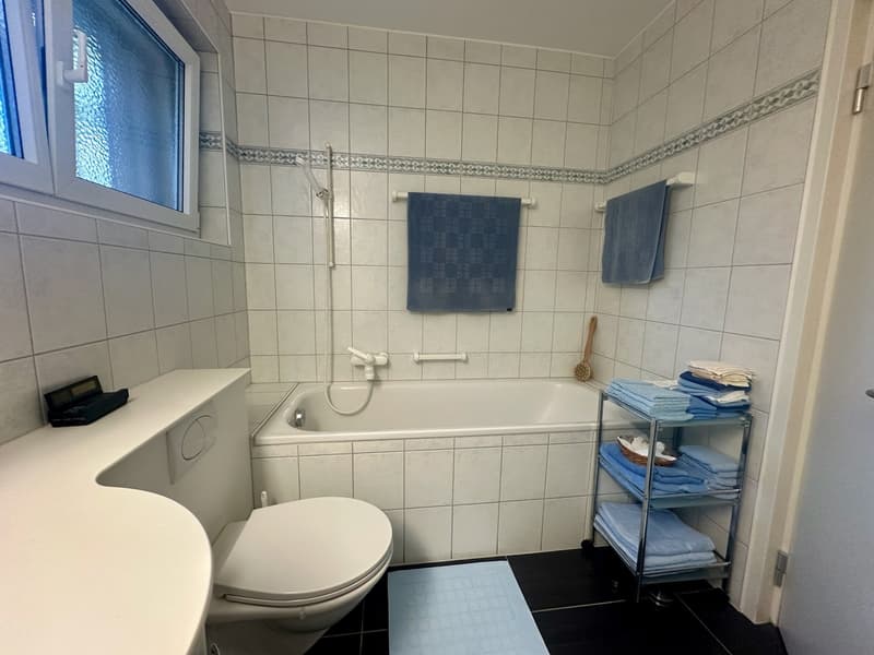 Tolle Wohnung an ruhiger Lage mit Aussicht ins Grüne in Riehen (12)