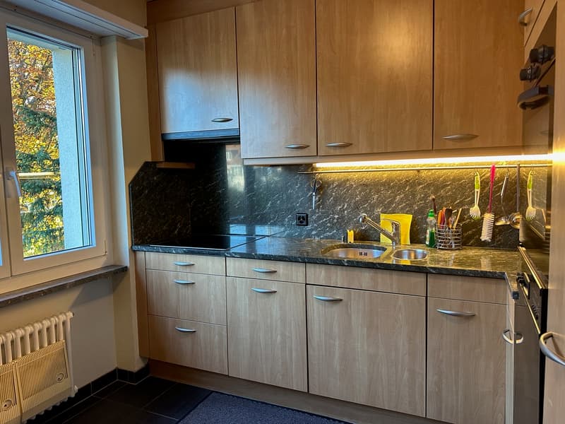Tolle Wohnung an ruhiger Lage mit Aussicht ins Grüne in Riehen (8)