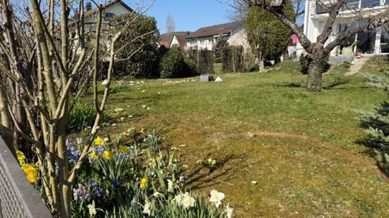 Casa bellissima con giardino e garage (5)