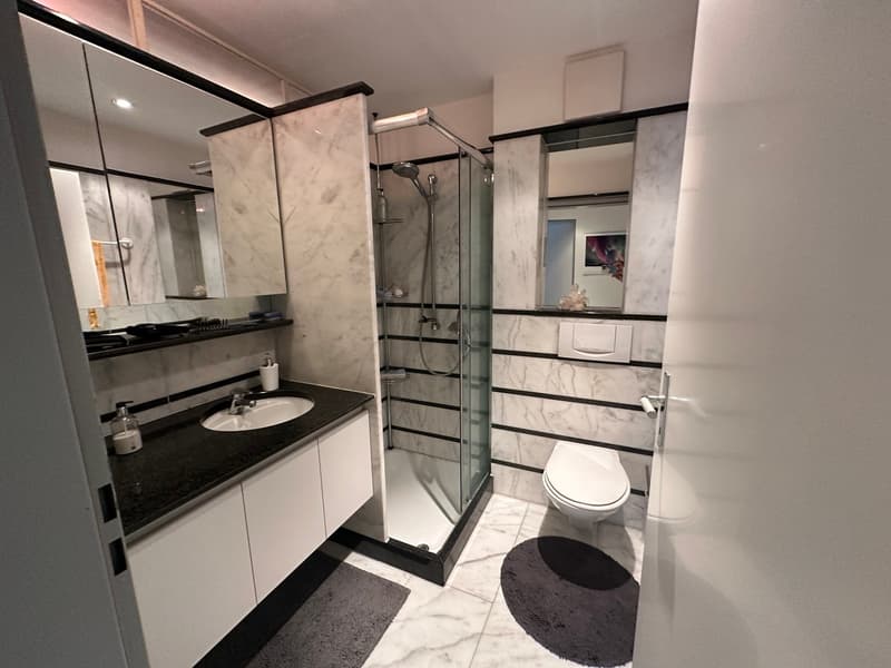 Elegante und grosszügige 6.5 Maisonette Wohnung mit Aussicht auf Basel (6)