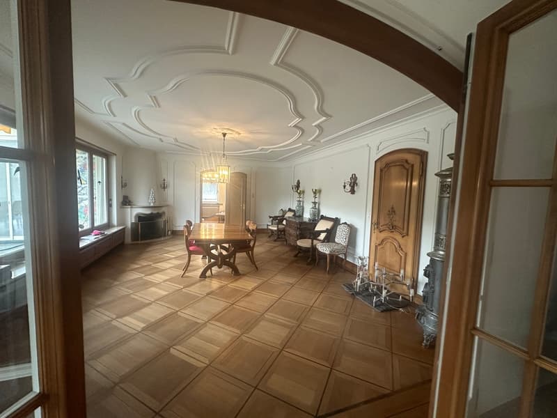 Wunderschöne Villa mit Pool auf über 4'000m2 Land (6)