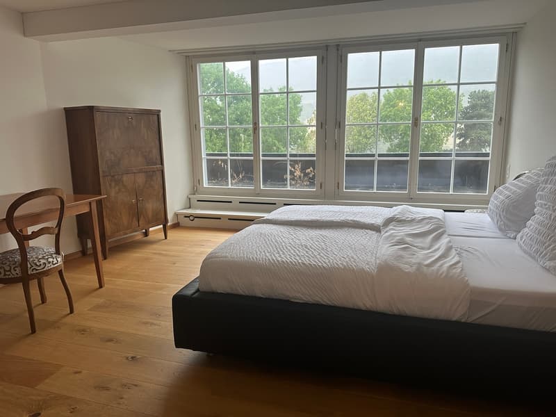 Wunderschöne Villa mit Pool auf über 4'000m2 Land (13)