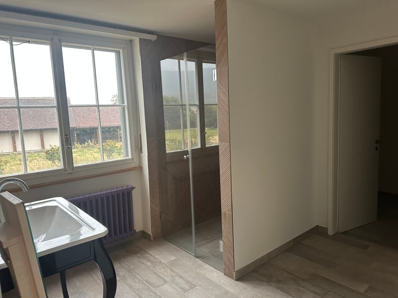 Wunderschöne Villa mit Pool auf über 4'000m2 Land (9)