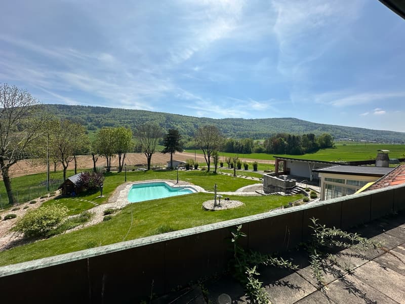 Wunderschöne Villa mit Pool auf über 4'000m2 Land (2)