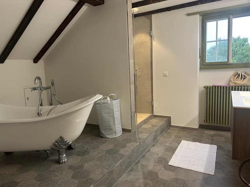 Wunderschöne Villa mit Pool auf über 4'000m2 Land (12)