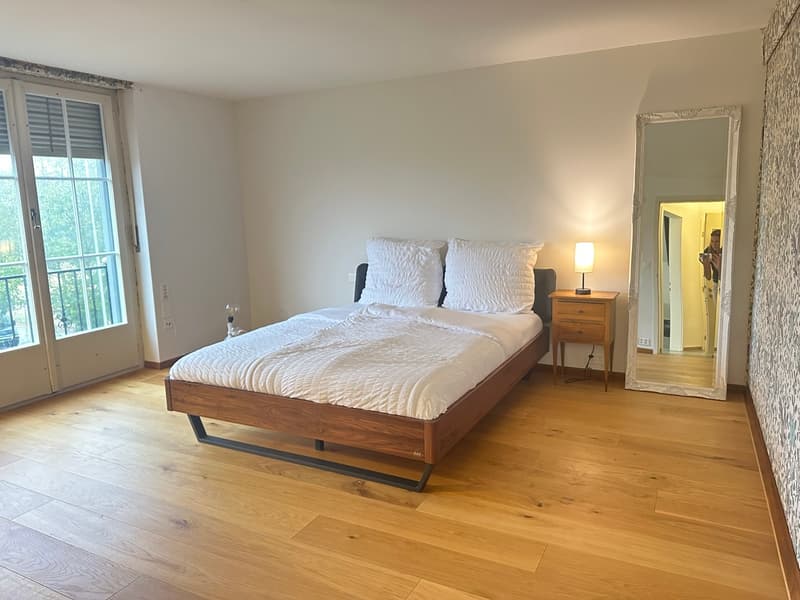 Wunderschöne Villa mit Pool auf über 4'000m2 Land (11)