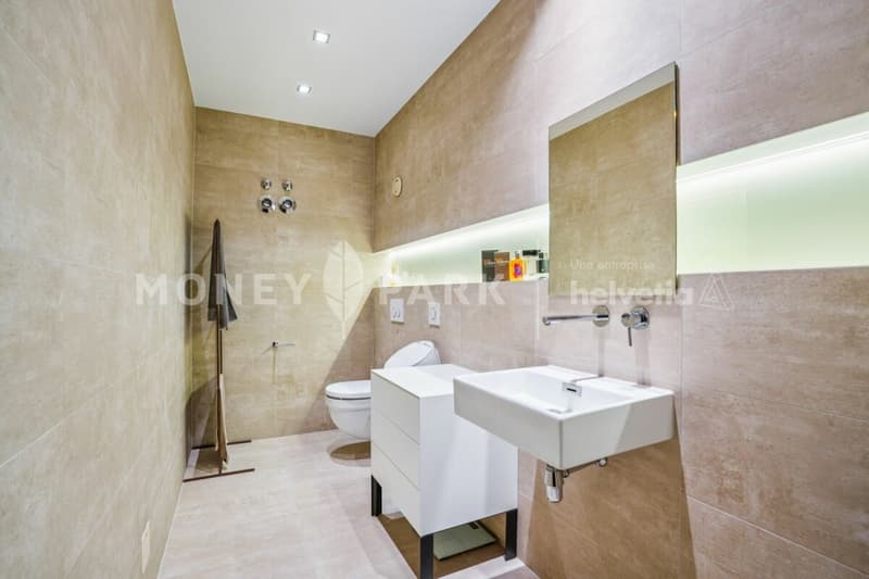 Appartamento loft attraente di 3 camere (9)