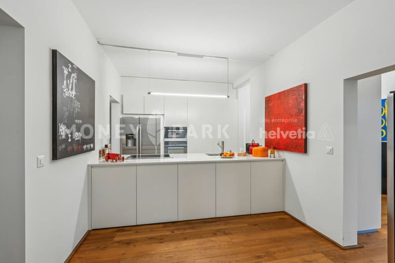 Appartamento loft attraente di 3 camere (3)