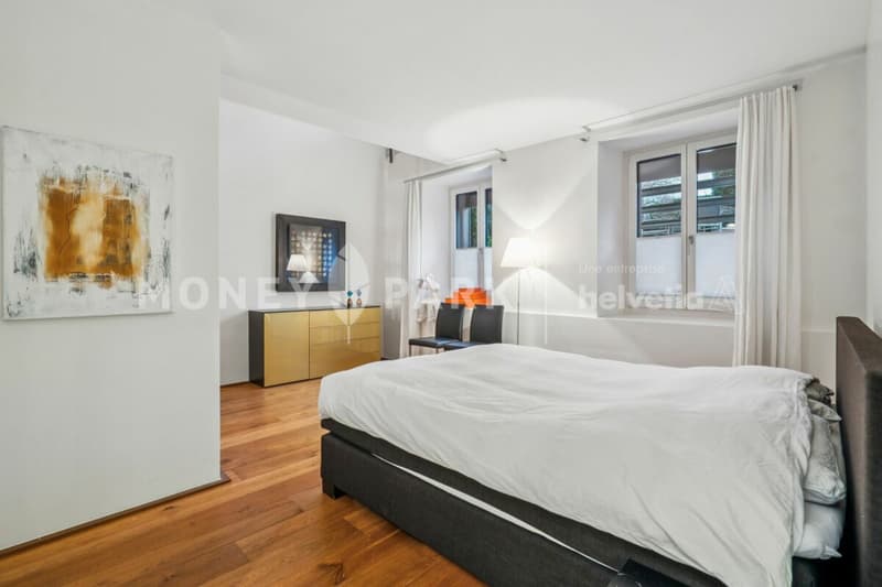 Appartamento loft attraente di 3 camere (6)