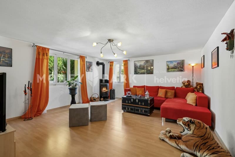 Unique 7.5-room single-family house with living quality & large plot (7)