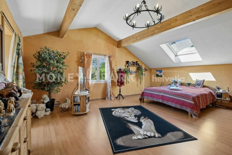 Unique 7.5-room single-family house with living quality & large plot (8)