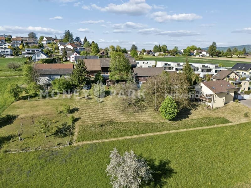 Unique 7.5-room single-family house with living quality & large plot (11)