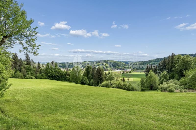 Casa di campagna di 9,5 locali con fienili, giardino spazioso e grande potenziale (6)