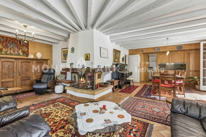 Exclusive: Magnificent individual villa with large garden (2)