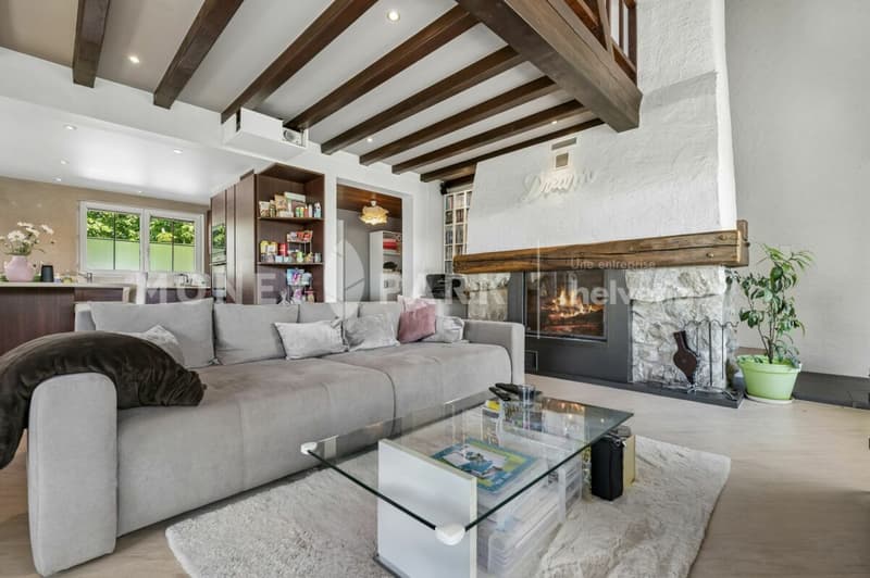 Charming individual house (2)