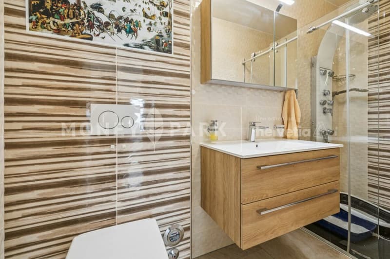 Apartment with 4.5 rooms and panoramic view of the lake and mountains (10)