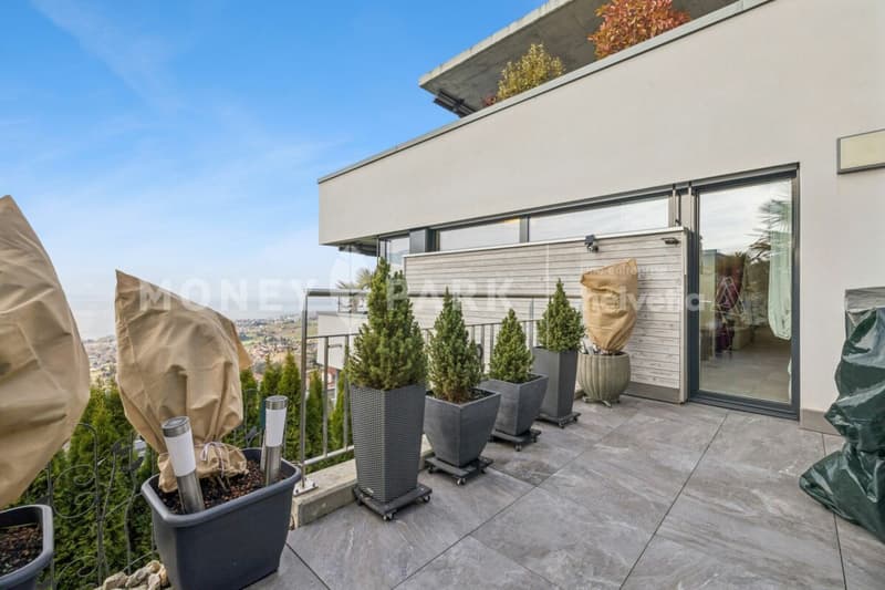 Apartment with 4.5 rooms and panoramic view of the lake and mountains (11)