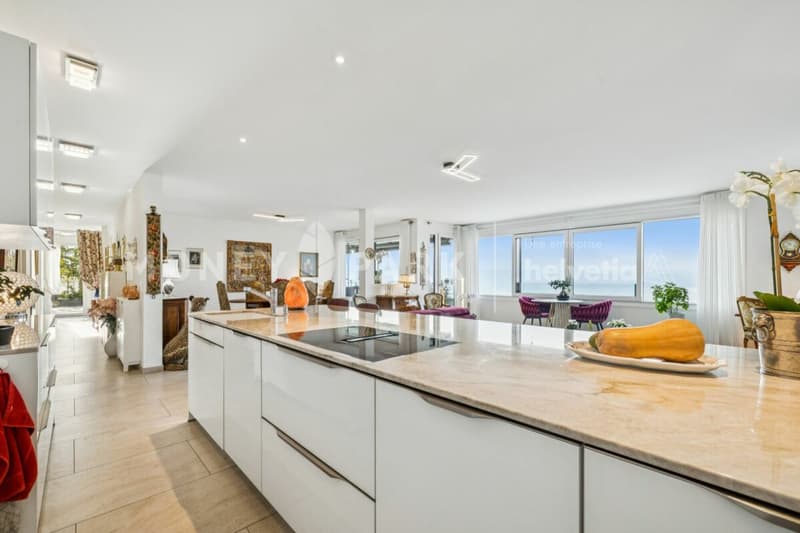 Apartment with 4.5 rooms and panoramic view of the lake and mountains (2)