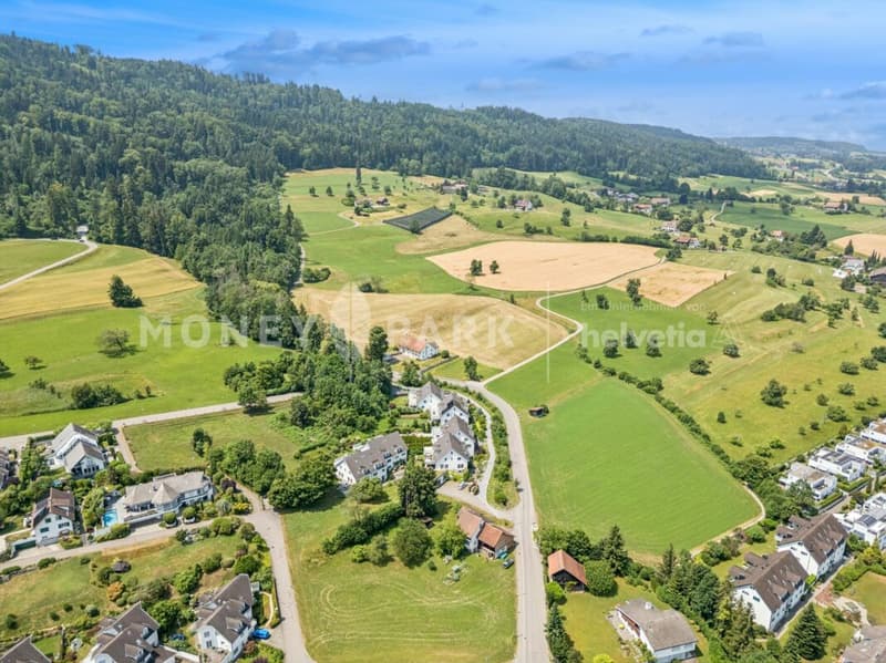Vivere con vista - Casa di 5,5 locali ben curata su Pfannenstiel (3)