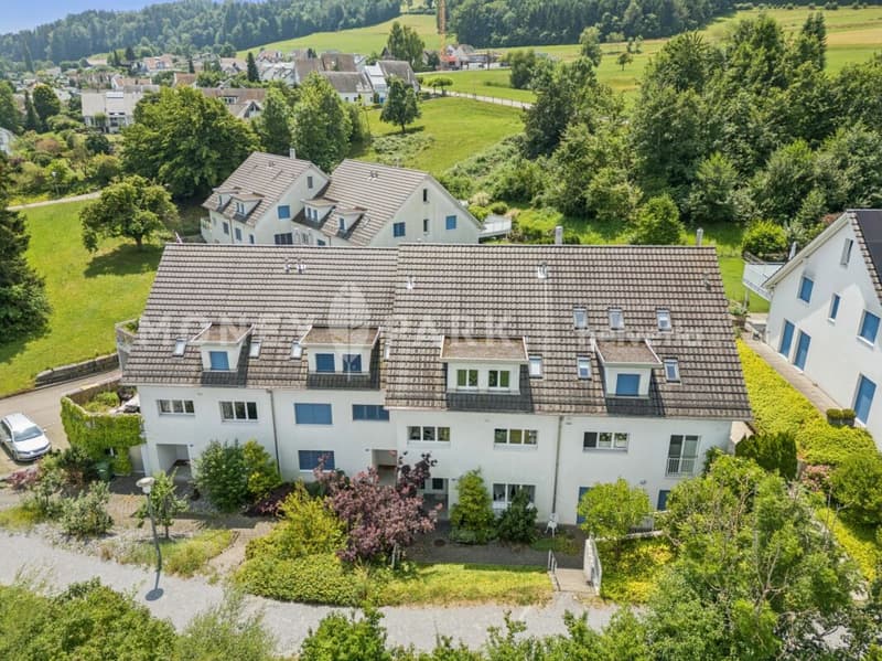 Vivere con vista - Casa di 5,5 locali ben curata su Pfannenstiel (2)