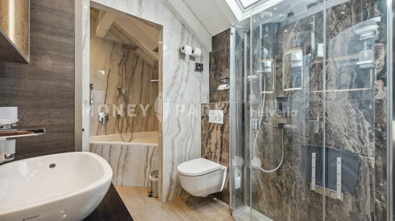Elegant duplex close to nature in Lignières (15)
