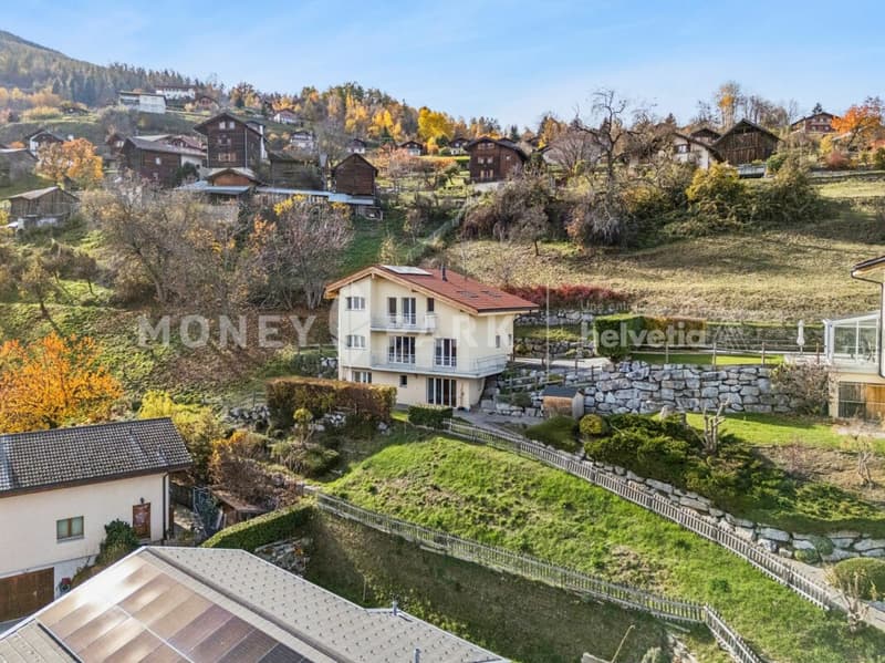 Splendid villa in Vex (1)