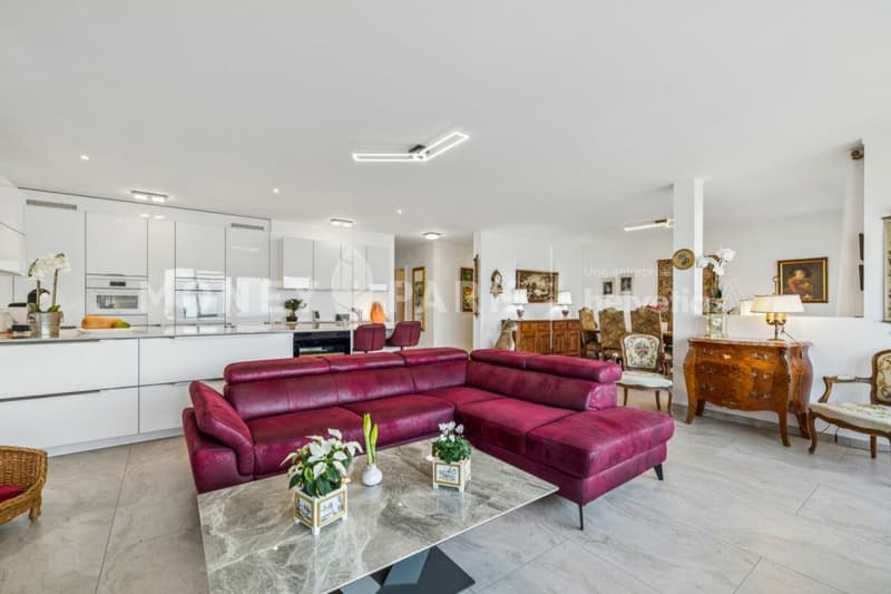 Apartment with 4.5 rooms and panoramic view of the lake and mountains (4)