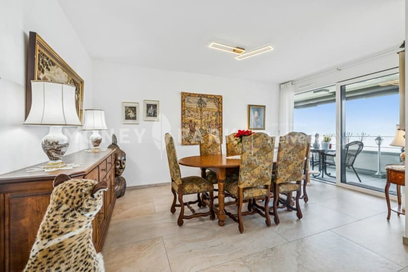 Apartment with 4.5 rooms and panoramic view of the lake and mountains (5)