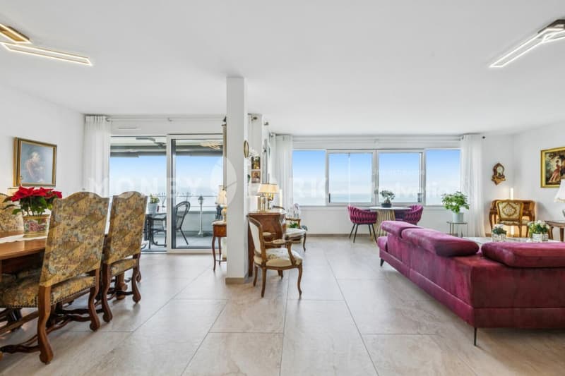 Apartment with 4.5 rooms and panoramic view of the lake and mountains (2)