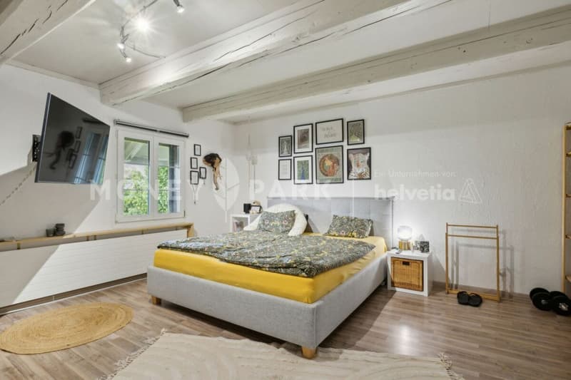 Historic House with Modern Flair - as a Duo (20)