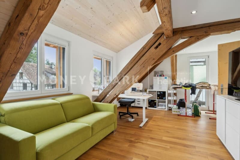 Historic House with Modern Flair - as a Duo (14)