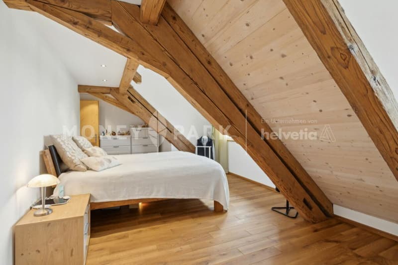 Historic House with Modern Flair - as a Duo (13)